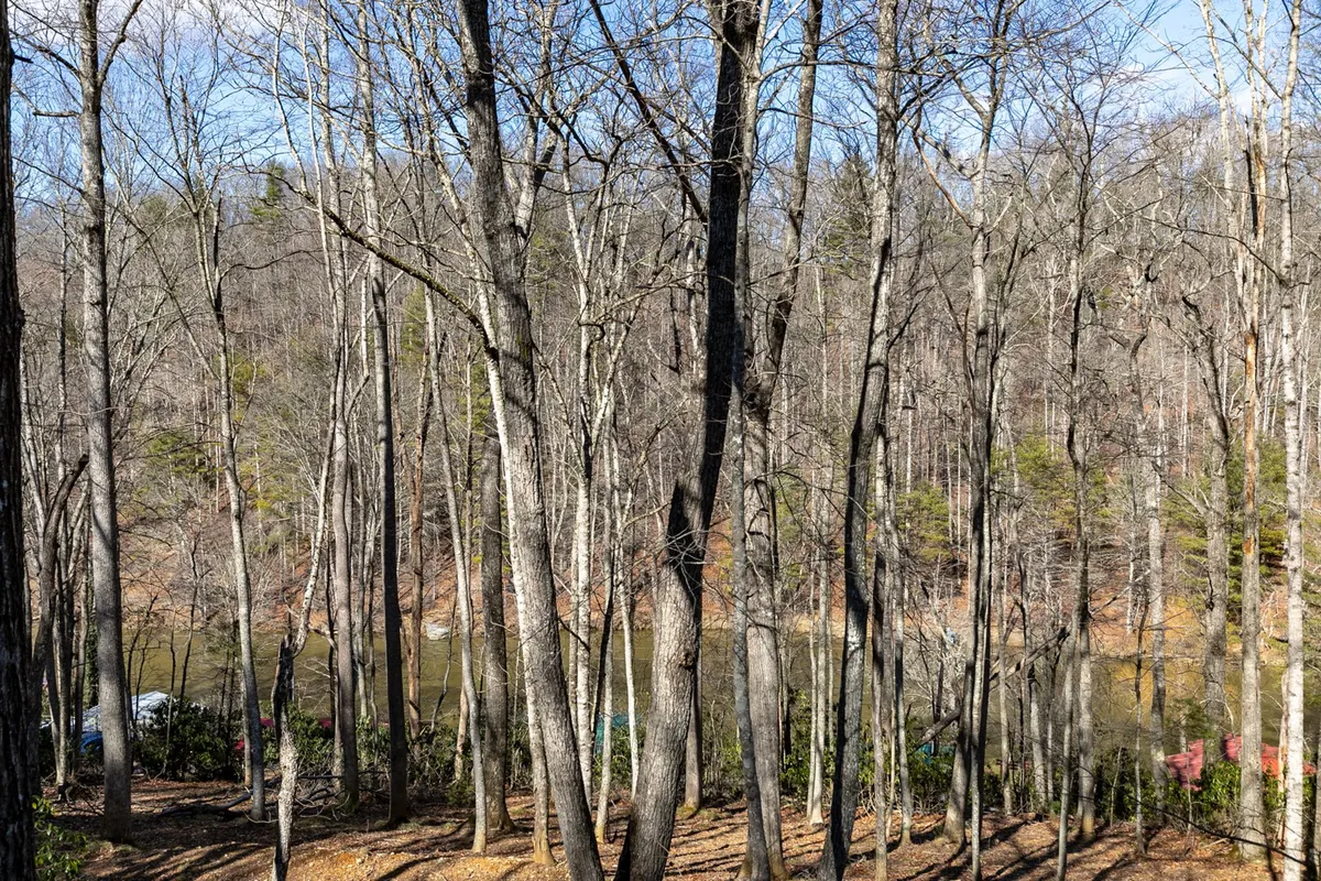 A serene view of the river framed by tall trees and gentle hills in the background. The image encapsulates the riverside atmosphere and the sense of peaceful natural surroundings, even if river access is not direct from the property.